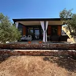 House Lady: Island Retreat With Pool & Transport Holiday home