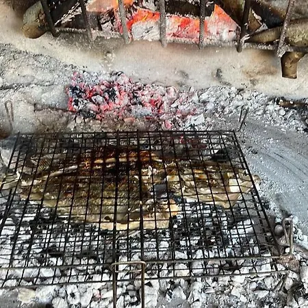 House Lady - & Tavern Bain, Free Transport, Pool, Island Of Zut - Kornati בית נופש Pristanisce