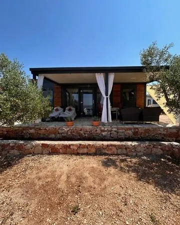 House Lady: Island Retreat With Pool & Transport Holiday home