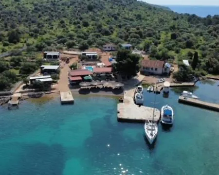 House Lady: Island Retreat With Pool & Transport * Pristanisce