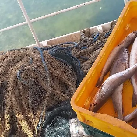 House Lady - & Tavern Bain, Free Transport, Pool, Island Of Zut - Kornati Сasa de vacaciones Pristanisce