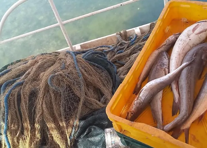 House Lady - & Tavern Bain, Free Transport, Pool, Island Of Zut - Kornati בית נופש Pristanisce